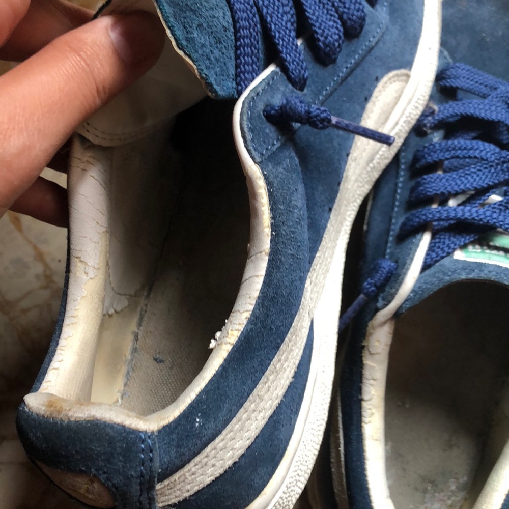 Pumas - Picture 6 of 6